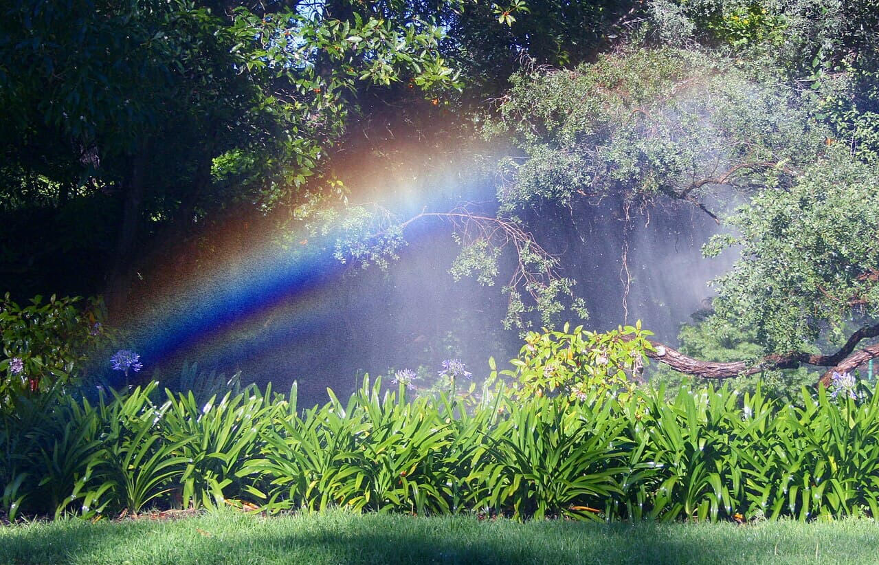 Ron Williams Sprinkler Rainbow Ron Williams Sprinkler Rainbow